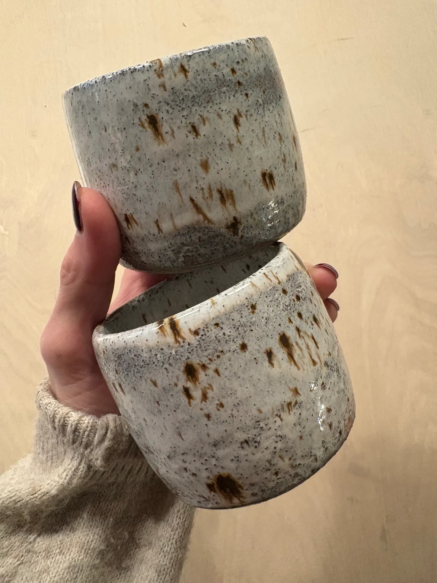 Frosted Birch Sand Tumbler