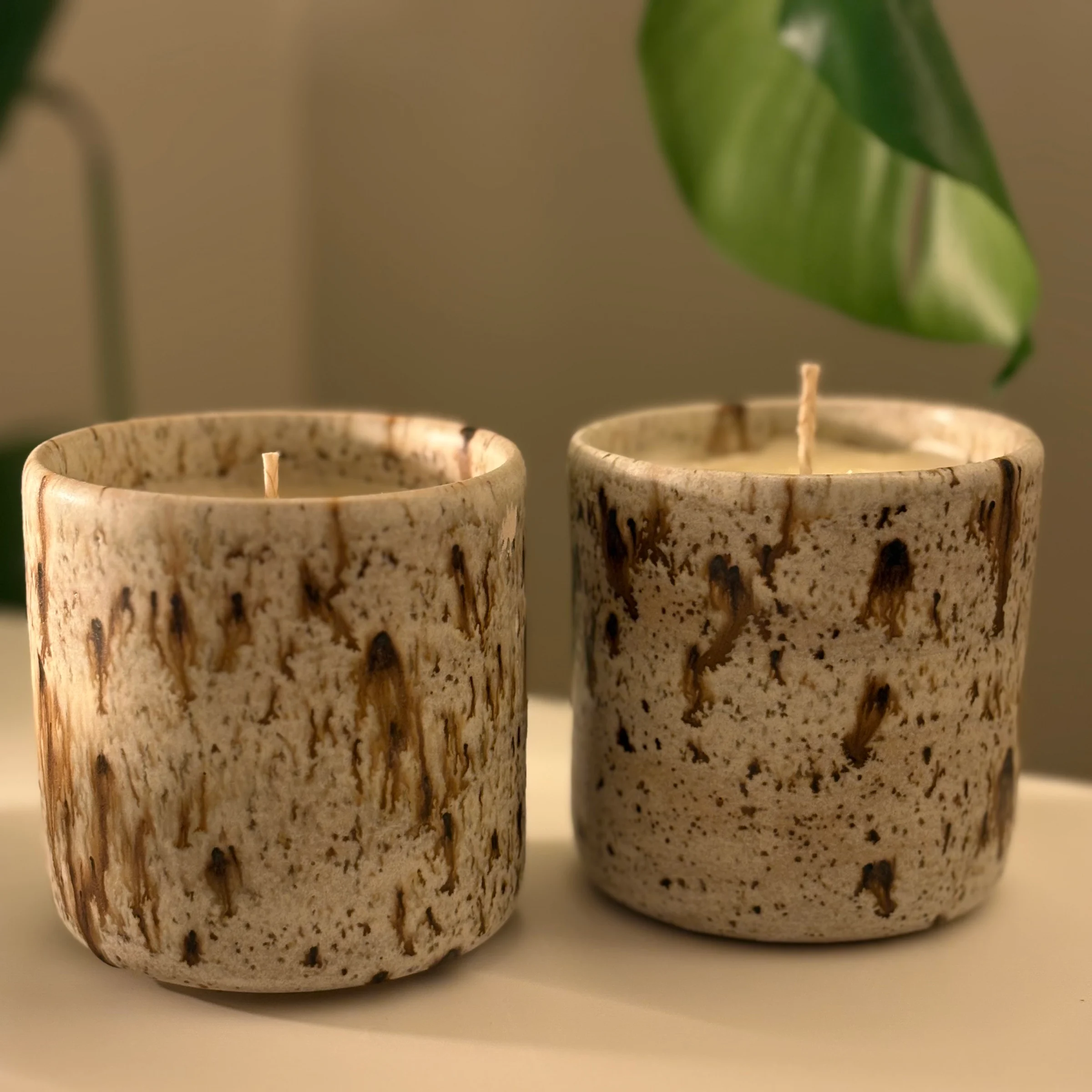Winterwood candle beeswax